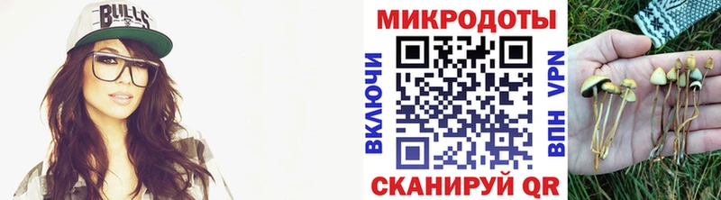 Купить  Кохма  Псилоцибиновые грибы мухоморы 